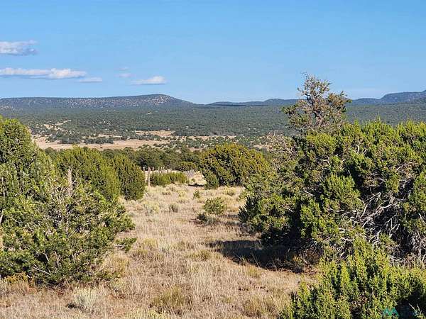 40 Acres of Recreational & Residential Land for Sale in Datil, New Mexico