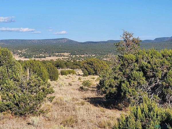 40 Acres of Recreational & Residential Land for Sale in Datil, New Mexico