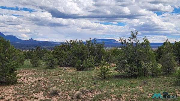 40 Acres of Recreational & Residential Land for Sale in Datil, New Mexico