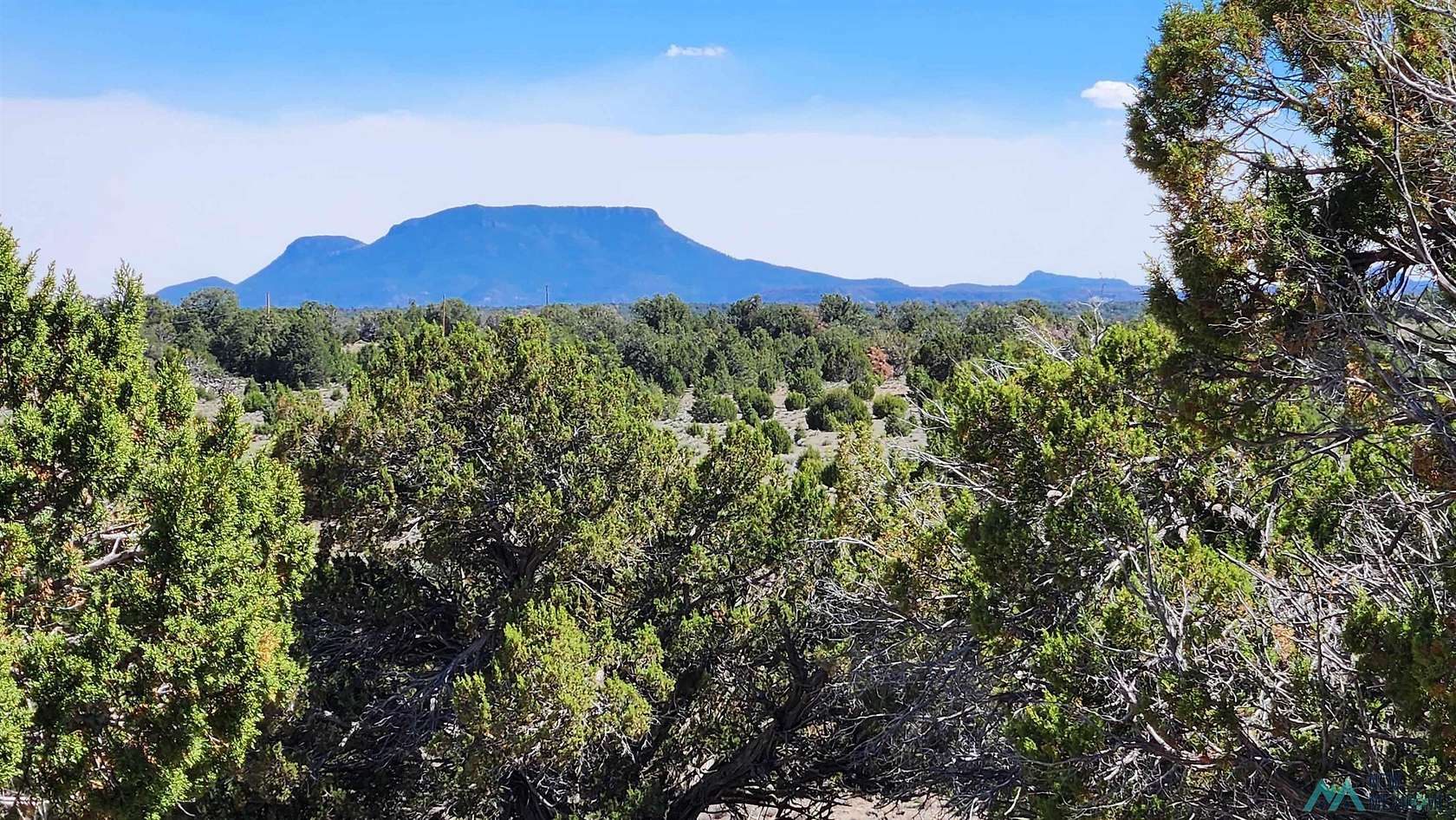 39.2 Acres of Recreational & Residential Land for Sale in Pie Town, New Mexico