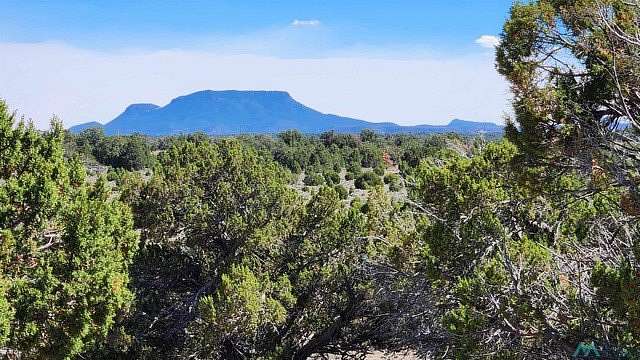 39.2 Acres of Recreational & Residential Land for Sale in Pie Town, New Mexico