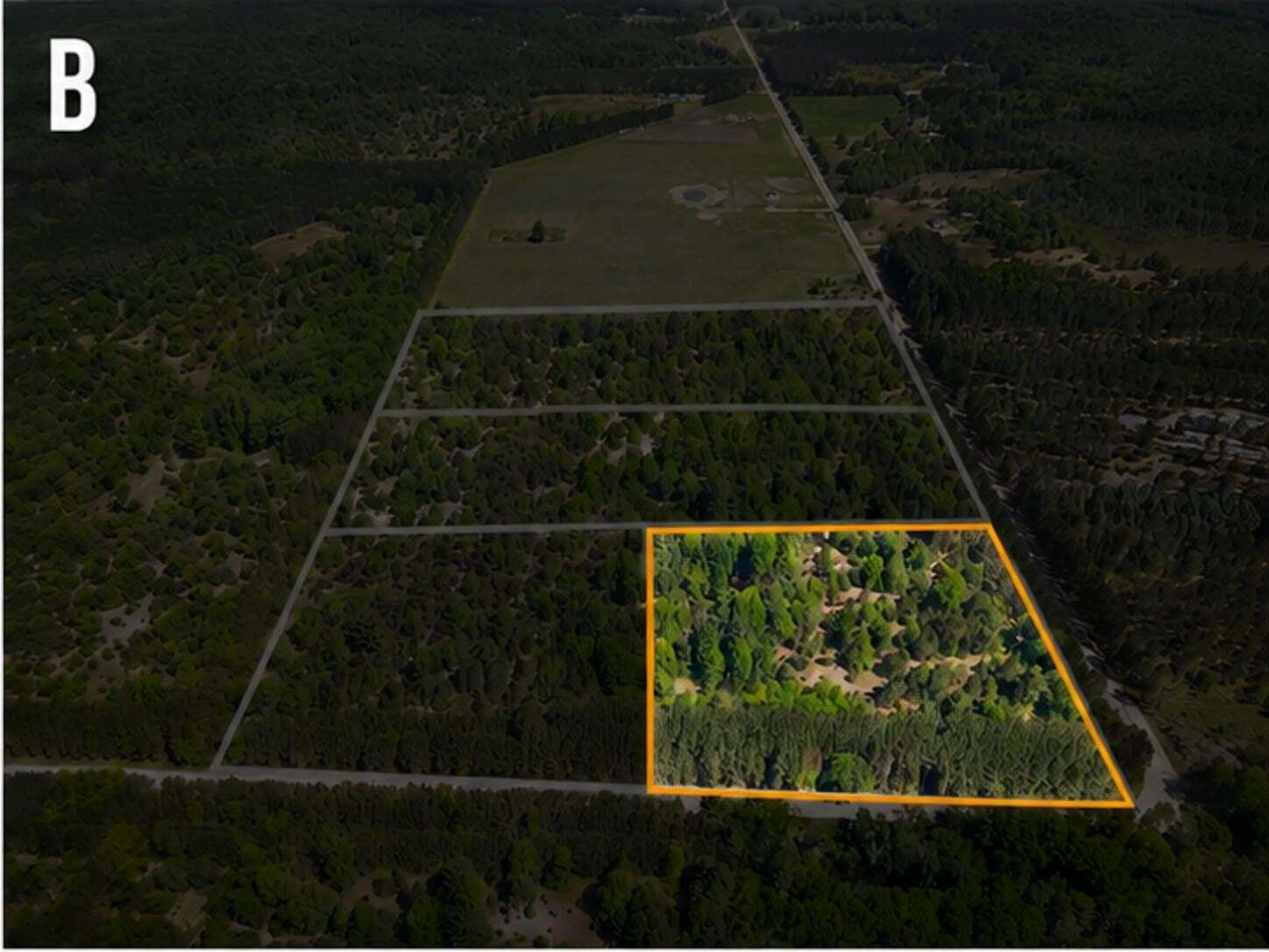 10 Acres of Residential Land for Sale in Kaleva, Michigan