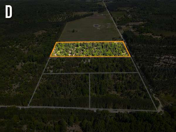 10 Acres of Residential Land for Sale in Kaleva, Michigan