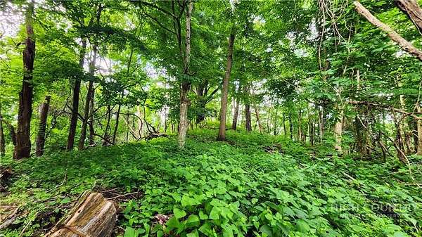 10 Acres of Land for Sale in Elk Park, North Carolina