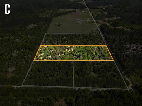 10 Acres of Residential Land for Sale in Kaleva, Michigan
