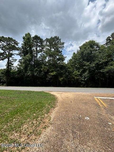 22 Acres of Recreational & Residential Land for Sale in Tylertown, Mississippi