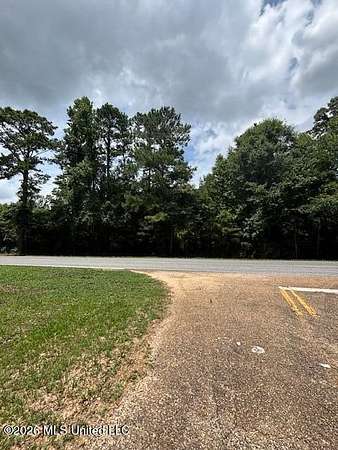 22 Acres of Recreational & Residential Land for Sale in Tylertown, Mississippi