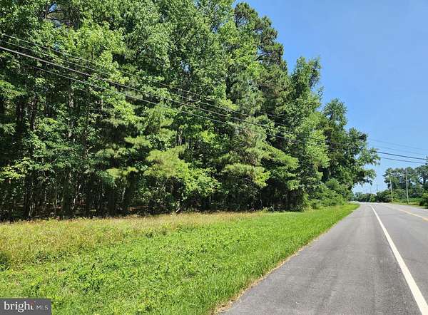 21.5 Acres of Recreational & Residential Land for Sale in Scotland, Maryland