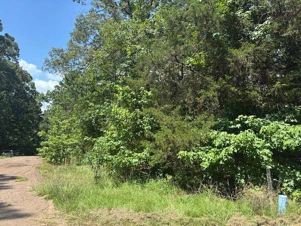 0.46 Acres of Residential Land for Sale in Mount Vernon, Texas