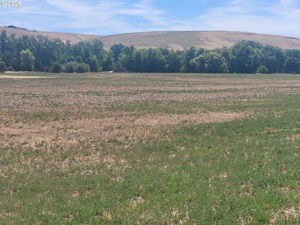 7.2 Acres of Residential Land for Sale in Pendleton, Oregon
