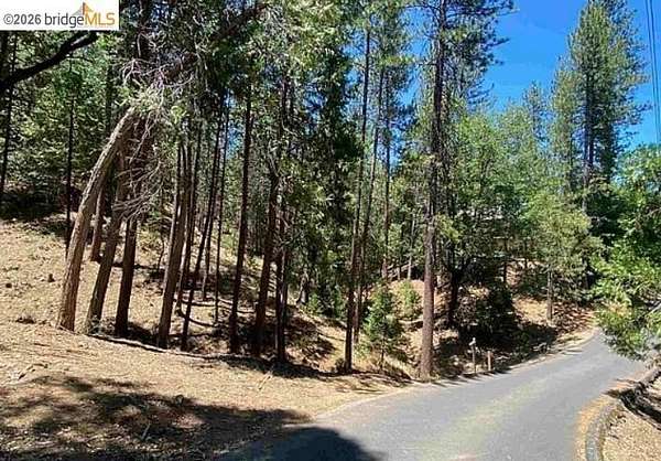 1.27 Acres of Residential Land for Sale in Groveland, California