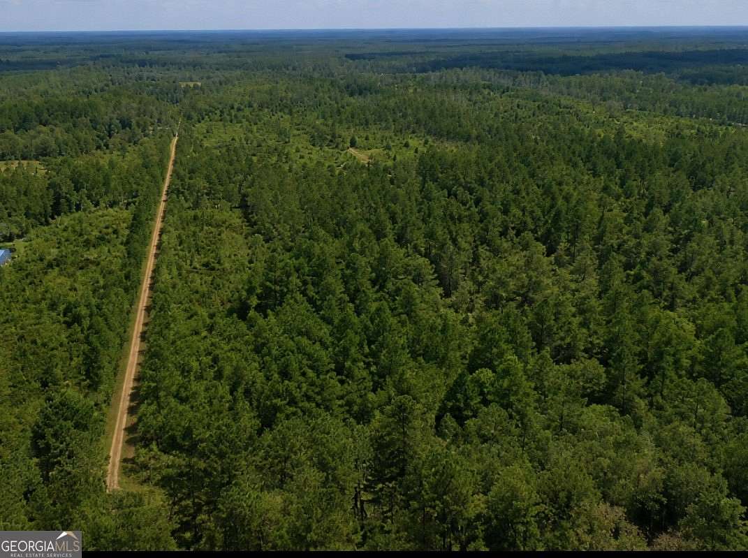 13.5 Acres of Recreational & Residential Land for Sale in Guyton, Georgia