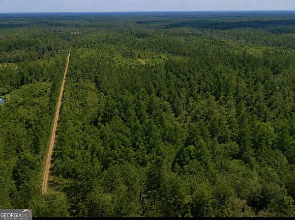 13.5 Acres of Recreational & Residential Land for Sale in Guyton, Georgia