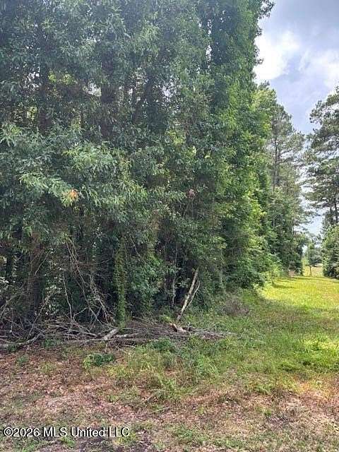 3.1 Acres of Land for Sale in Tylertown, Mississippi