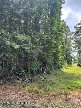 3.1 Acres of Land for Sale in Tylertown, Mississippi
