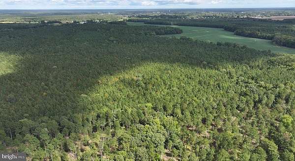 557 Acres of Recreational Land for Auction in Princess Anne, Maryland