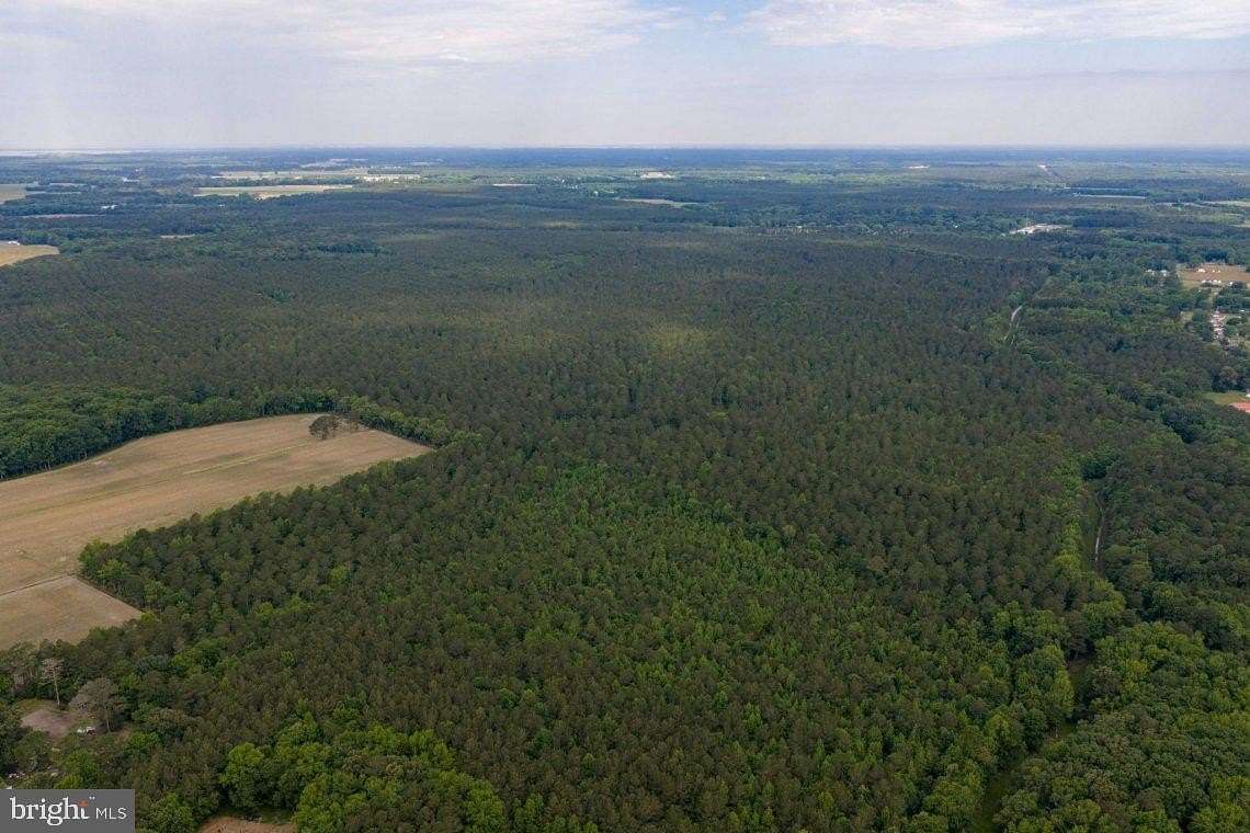 331 Acres of Recreational Land for Auction in Eden, Maryland