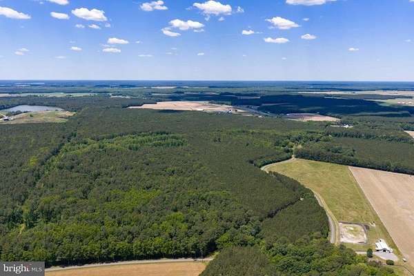 495 Acres of Land for Auction in Newark, Maryland