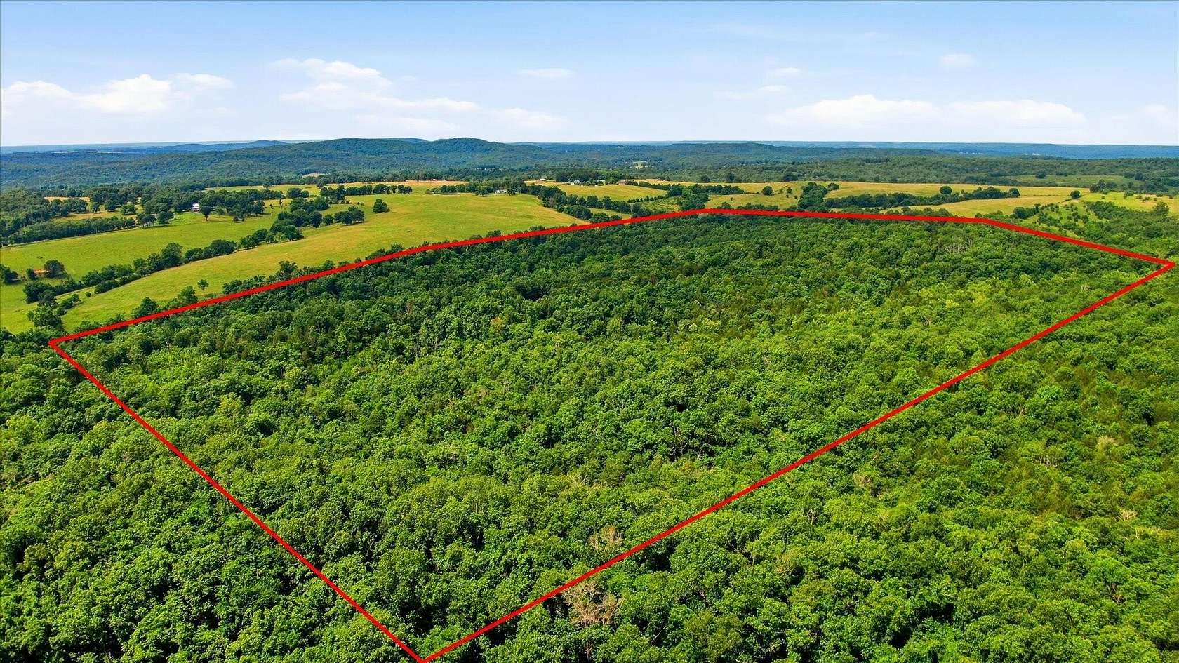 83 Acres of Recreational & Residential Land for Sale in Bradleyville, Missouri