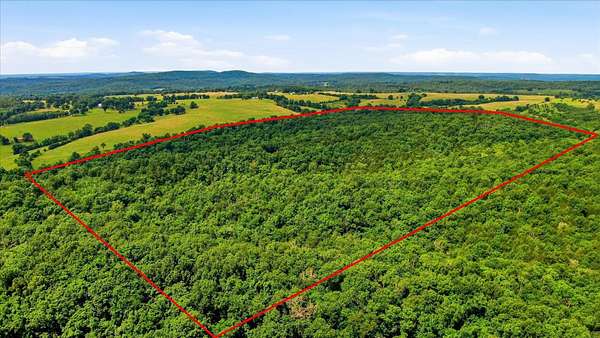 83 Acres of Recreational & Residential Land for Sale in Bradleyville, Missouri