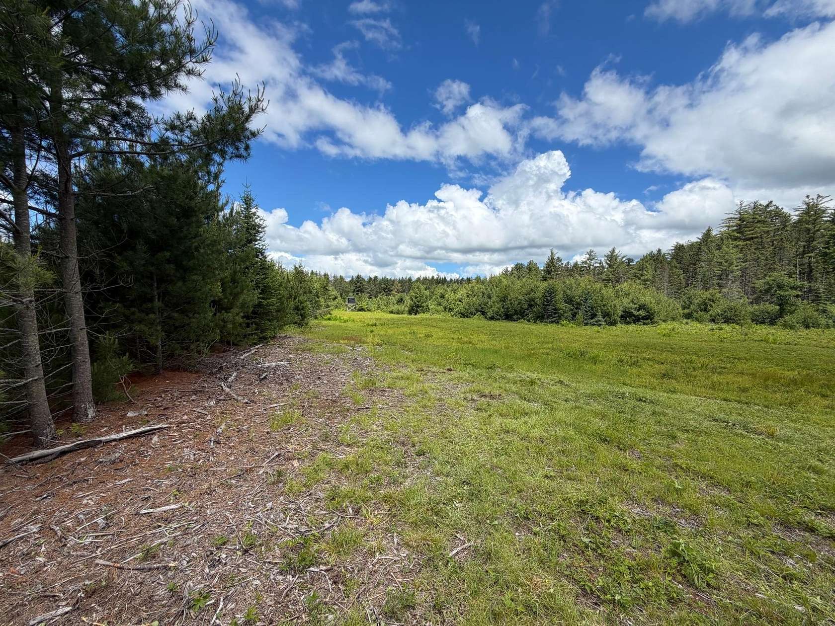 87.8 Acres of Recreational Land for Sale in Lake Tomahawk, Wisconsin