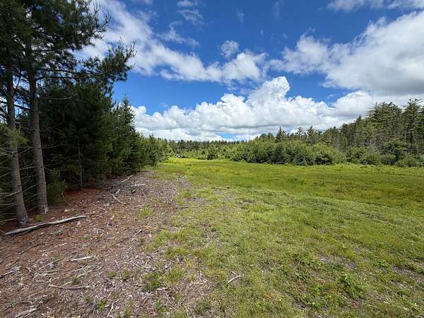 87.8 Acres of Recreational Land for Sale in Lake Tomahawk, Wisconsin