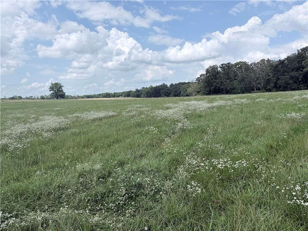 88.4 Acres of Land for Sale in Maysville, Arkansas