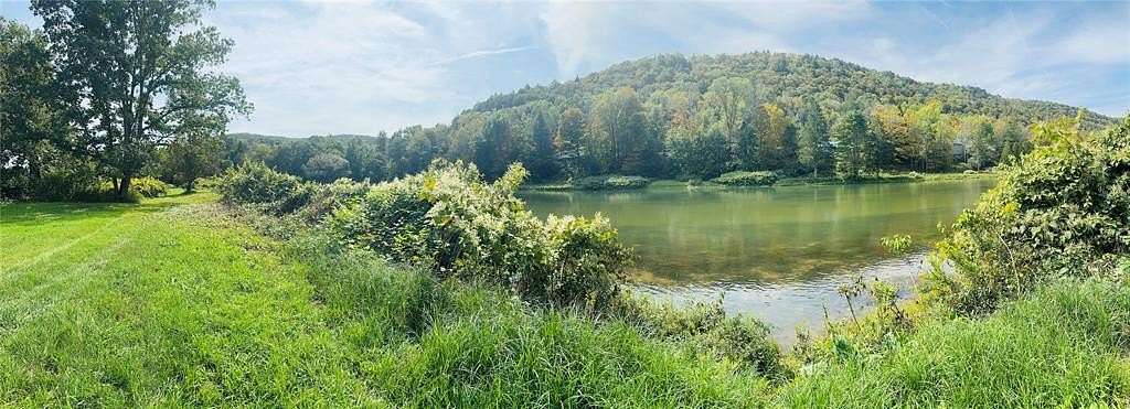 18 Acres of Recreational Land with Home for Sale in Deposit, New York