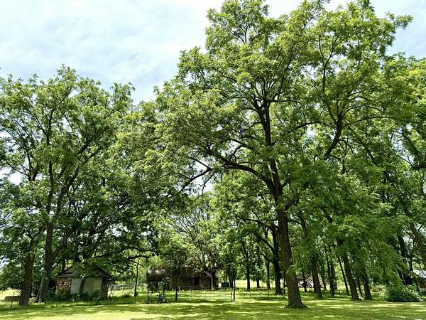 117 Acres of Land for Sale in Willard, Missouri