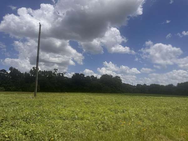 2.5 Acres of Land for Sale in Pittsburg, Texas
