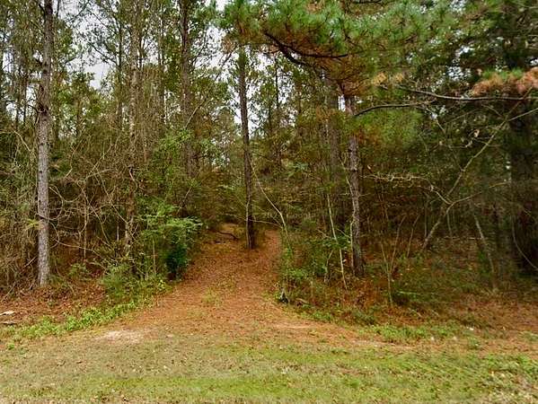 53.9 Acres of Land for Sale in Ponce de Leon, Florida