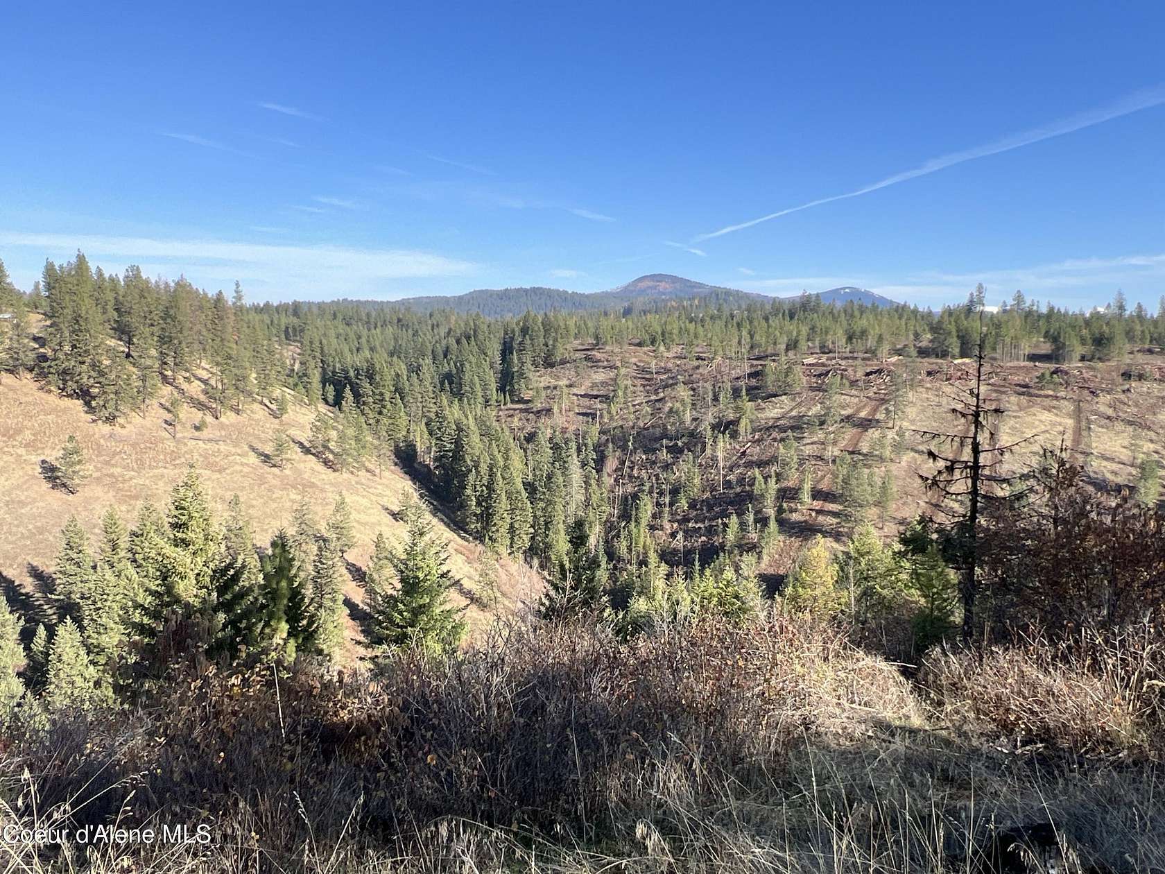 28.5 Acres of Land for Sale in St. Maries, Idaho