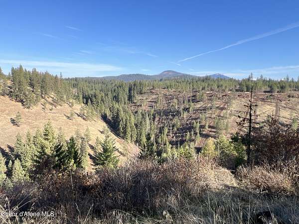 28.5 Acres of Land for Sale in St. Maries, Idaho