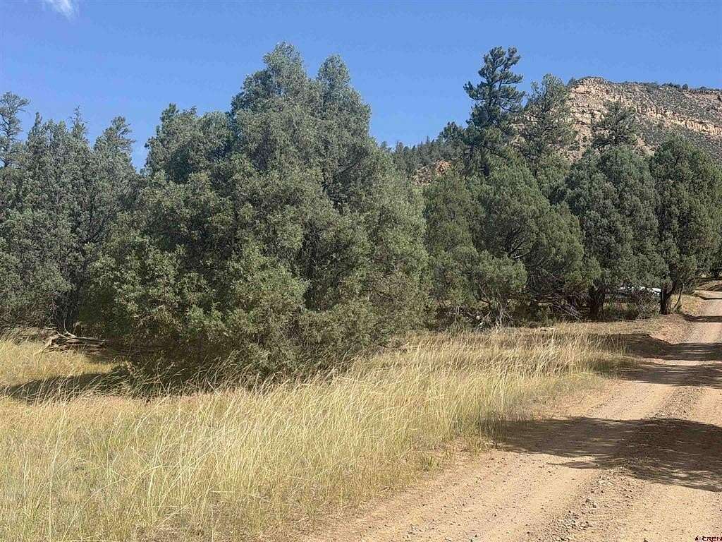 4.37 Acres of Land for Sale in Pagosa Springs, Colorado