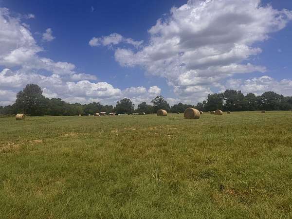 2.5 Acres of Residential Land for Sale in Pittsburg, Texas