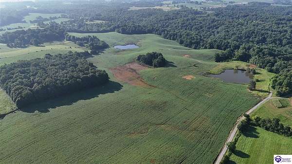 96 Acres of Recreational & Residential Land for Sale in Greensburg, Kentucky