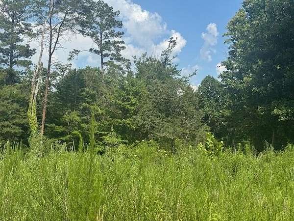 0.53 Acres of Residential Land for Sale in LaFayette, Georgia