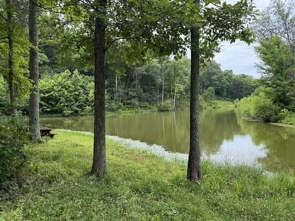 279 Acres of Recreational Land for Sale in Mount Olivet, Kentucky