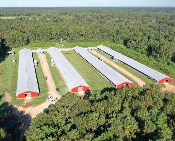 65 Acres of Agricultural Land with Home for Sale in Tylertown, Mississippi