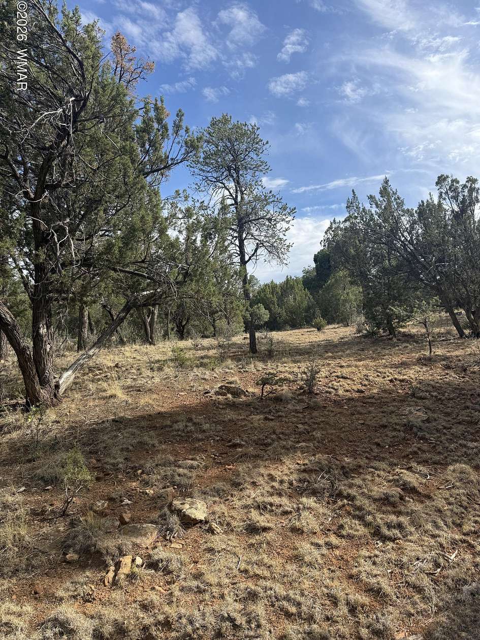 1 Acre of Residential Land for Sale in Heber, Arizona