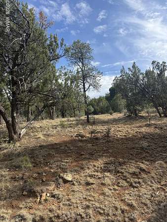 1 Acre of Residential Land for Sale in Heber, Arizona