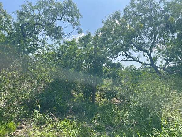 2 Acres of Residential Land for Sale in Skidmore, Texas