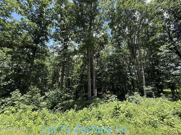 0.96 Acres of Residential Land for Sale in Camden, Tennessee