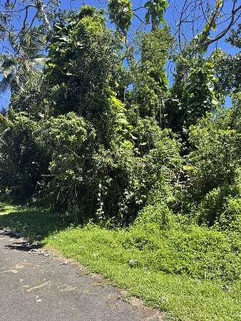 0.2 Acres of Land for Sale in Pahoa, Hawaii