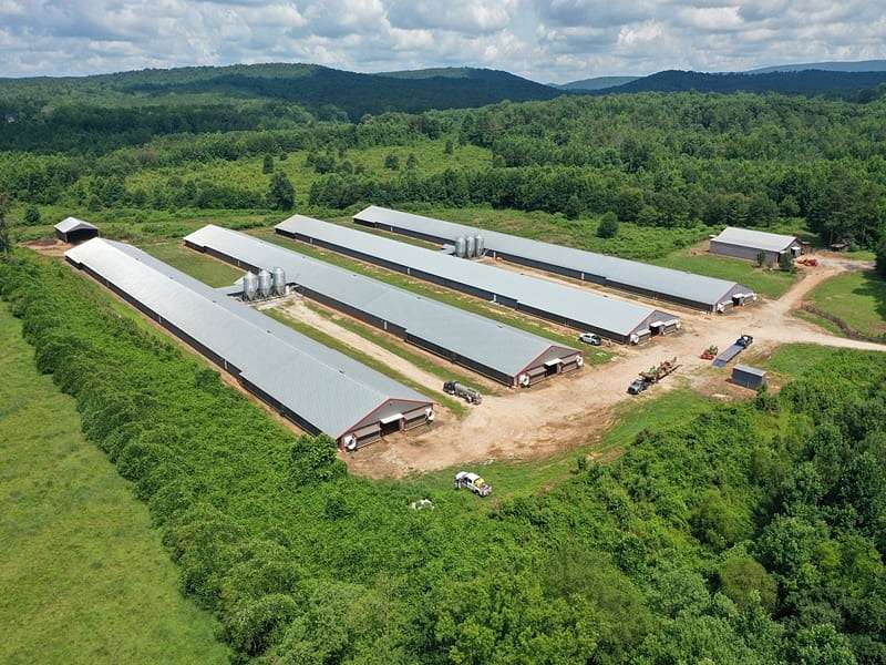 90 Acres of Land with Home for Sale in Lineville, Alabama