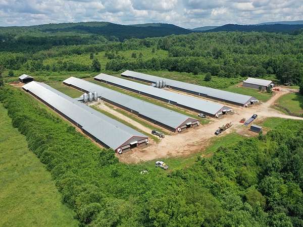 90 Acres of Land with Home for Sale in Lineville, Alabama