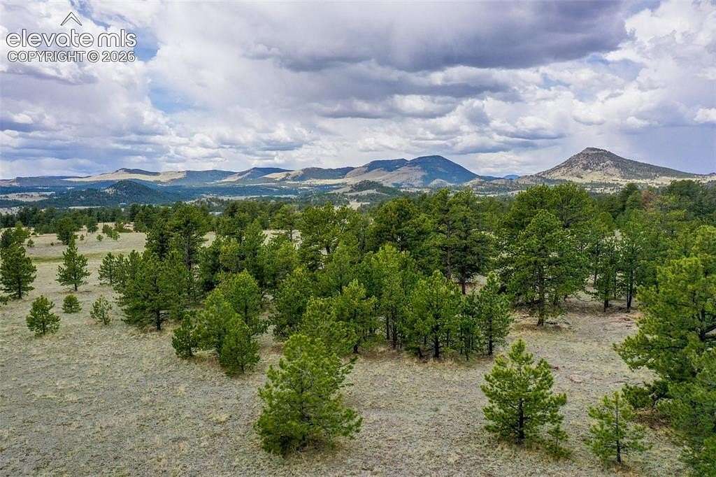 20.2 Acres of Recreational & Residential Land for Sale in Guffey, Colorado