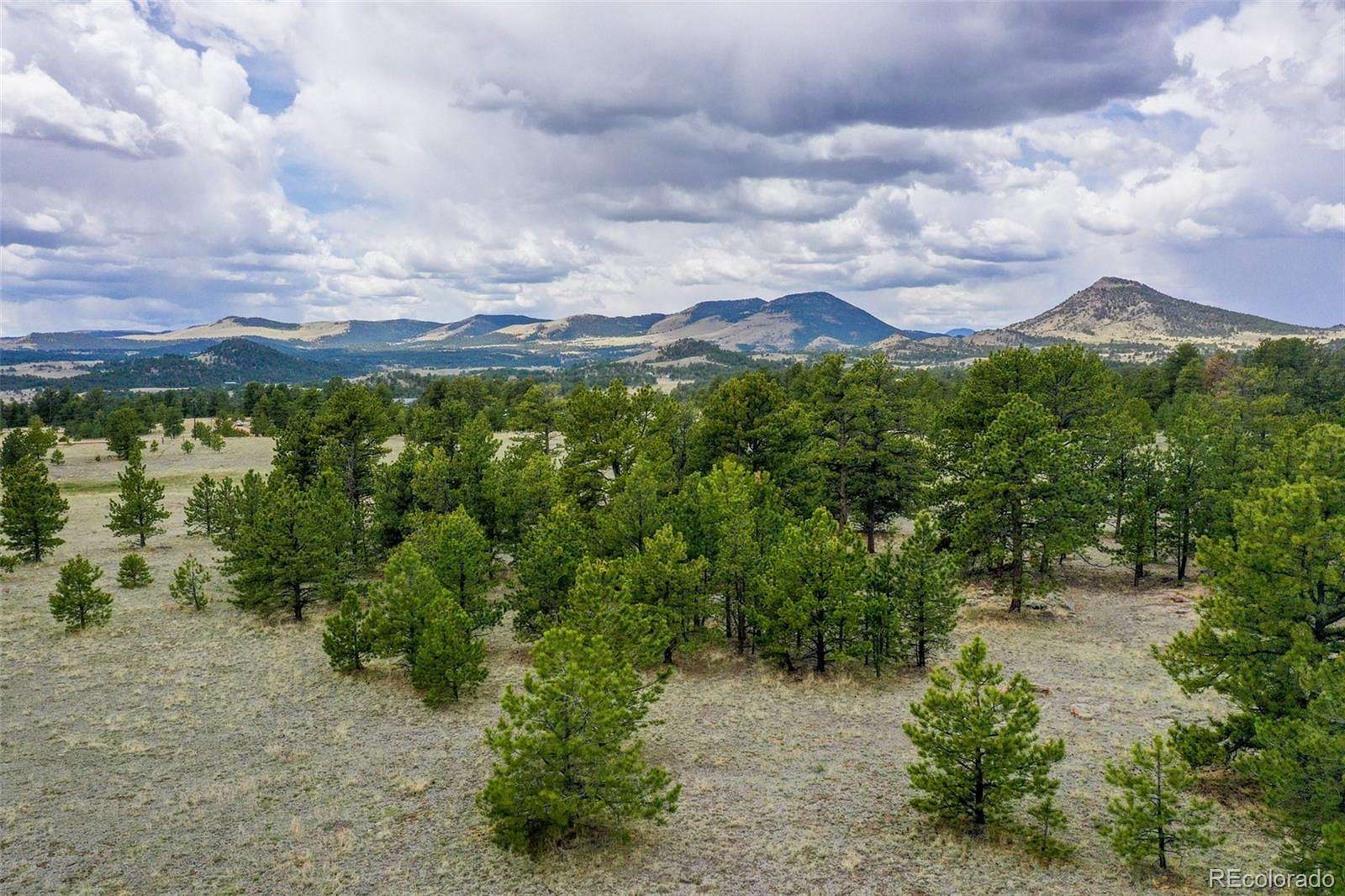 20.2 Acres of Recreational & Residential Land for Sale in Guffey, Colorado