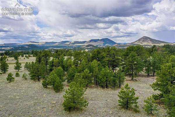 20.2 Acres of Recreational & Residential Land for Sale in Guffey, Colorado