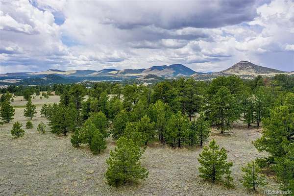 20.2 Acres of Recreational & Residential Land for Sale in Guffey, Colorado
